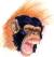 Chimp Out